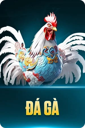 Say88 \ Đá gà say88